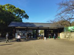 -名古屋城