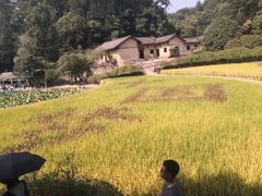 -韶山毛泽东同志故居