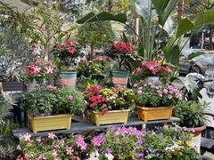 -山水茶艺馆·点心粤菜·30年老字号