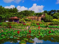 -广州莲花山旅游区