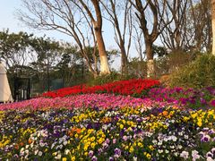 -东莞植物园