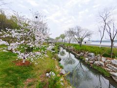 -羊山湖公园