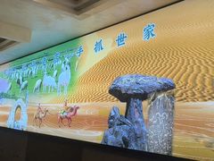 -老毛手抓·国家非遗·盐池滩羊(宁夏总店)