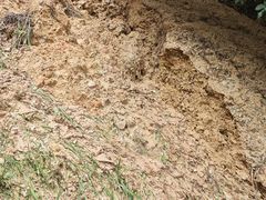 -彩色沙林风景区