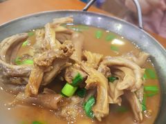 -全乐鱼馆·淳牌有机鱼直营店