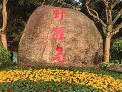 -野狸岛