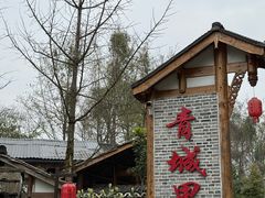 -青城甲(青城山店)
