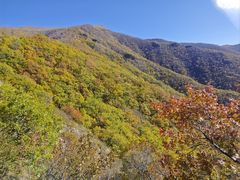 -灵山