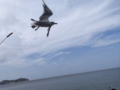 -摩天岭风景区