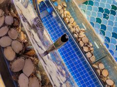 水产区-乔哥铭洋海鲜自助(皇城恒隆广场店)