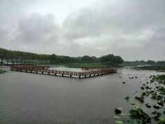 -洪湖生态旅游区