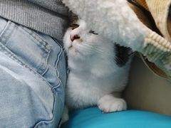 -美联众合动物医院·24h京西诊疗中心