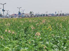 -中国天府农业博览园