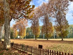 -河南省黄河迎宾馆