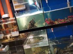 水产区-美味海鲜大排档(明发美食地标店)