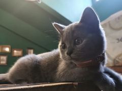 -第三空间·趣味桌游·轰趴.室内CS.剧本杀(大武汉1911店)