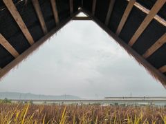 -光明小镇欢乐田园
