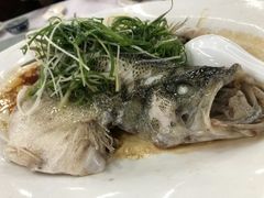 -渔鸽皇酒楼(鸿大广场店)