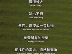 -德瑞姆心理咨询旗舰店