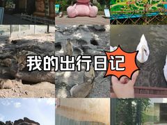 -天津市动物园