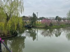 -南汇桃花村