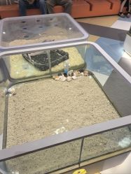 -meland亲子乐园•派对•研学(苏州悠方购物中心店)