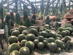 -华南国家植物园-售票处