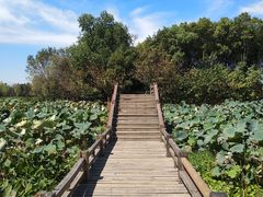 -艾溪湖湿地公园