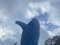 -珠海长隆海洋王国