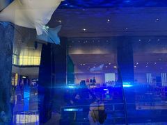 -迪拜水族馆及水下动物园