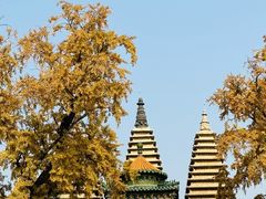 -北京石刻艺术博物馆(五塔寺)