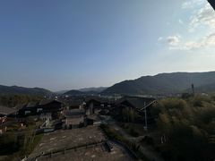 -大唐贡茶院