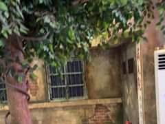 -天堂疯人院·沉浸式实景演绎密室