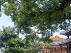 -江心屿景区