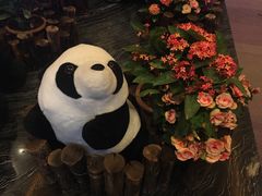 -成都保利公园皇冠假日酒店(熊猫基地店)