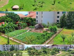 -惠州金海湾嘉华度假酒店