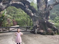 -龙湾潭国家森林公园