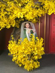 点击看大图 -盘子女人坊古装写真摄影(天津总店)