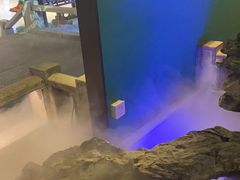 -佬麻雀·新湘菜(珠海金发购物中心店)