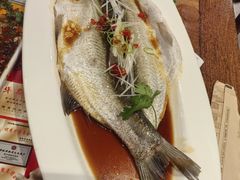 -新兴园饺子馆(河南街店)