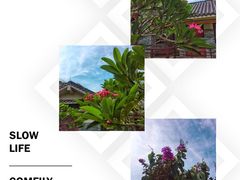 -长洲岛