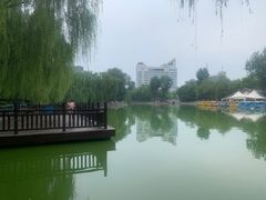 -莲湖公园