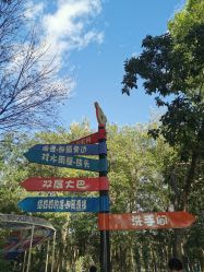 -大美儿童世界(奥林匹克水上公园店)