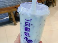 -一只酸奶牛(兰州中心店)