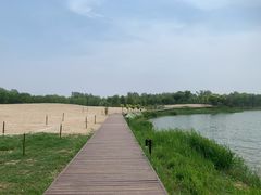 -东郊湿地公园