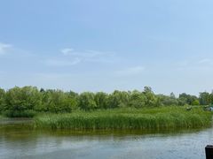 -溱湖国家湿地公园