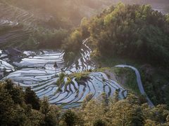 -紫鹊界梯田景区