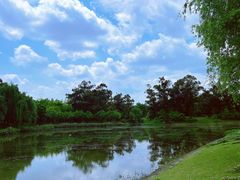 -两河城市森林公园