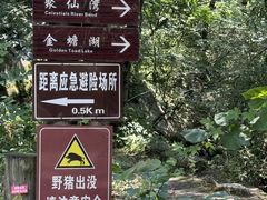 -少华山国家森林公园