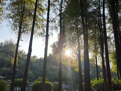 -晓港公园
